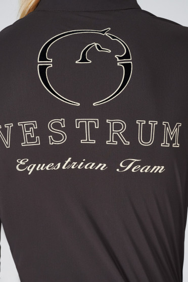 Vestrum Karlstad is voornamelijk ontworpen voor training. Vestrum Karlstad is voornamelijk ontworpen voor training.