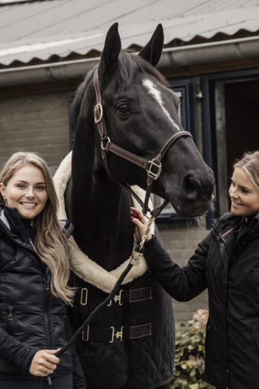 Ridershouse Kentucky Horsewear Show Deken, leverbaar in meerdere kleuren Ridershouse Kentucky Horsewear Show Deken, leverbaar in meerdere kleuren