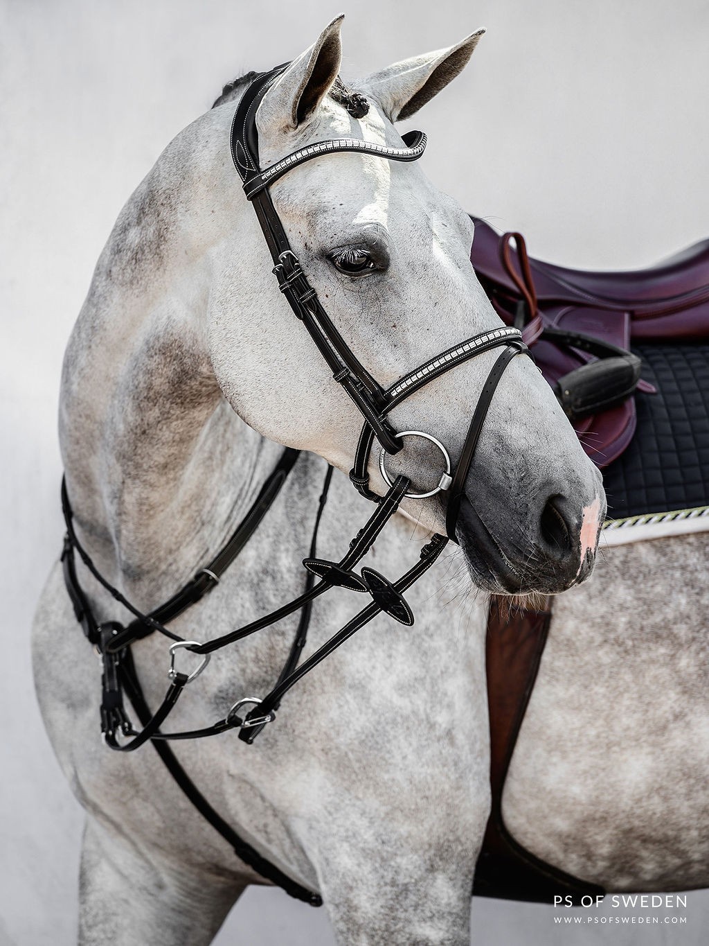 Een prachtig trenshoofdstel met een afneembare sperriem en een klassieke uitstraling Een prachtig trenshoofdstel met een afneembare sperriem en een klassieke uitstraling