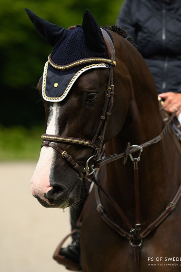 Een prachtig trenshoofdstel met een afneembare sperriem en een klassieke uitstraling Een prachtig trenshoofdstel met een afneembare sperriem en een klassieke uitstraling