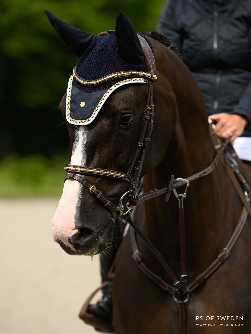 Een prachtig trenshoofdstel met een afneembare sperriem en een klassieke uitstraling Een prachtig trenshoofdstel met een afneembare sperriem en een klassieke uitstraling