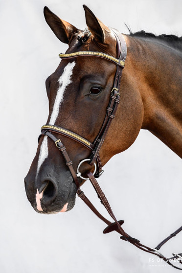 Een prachtig trenshoofdstel met een afneembare sperriem en een klassieke uitstraling Een prachtig trenshoofdstel met een afneembare sperriem en een klassieke uitstraling
