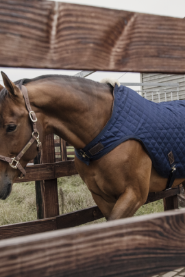 Ideaal om de paarden mee te longeren of in de stapmolen te zetten wanneer het koud is. Ideaal om de paarden mee te longeren of in de stapmolen te zetten wanneer het koud is.