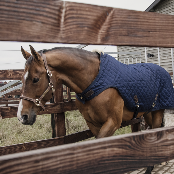 Ideaal om de paarden mee te longeren of in de stapmolen te zetten wanneer het koud is. Ideaal om de paarden mee te longeren of in de stapmolen te zetten wanneer het koud is.