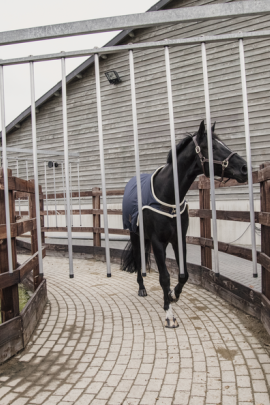 Ideaal om de paarden mee te longeren of in de stapmolen te zetten wanneer het koud is.