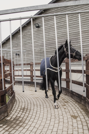 Ideaal om de paarden mee te longeren of in de stapmolen te zetten wanneer het koud is. Ideaal om de paarden mee te longeren of in de stapmolen te zetten wanneer het koud is.
