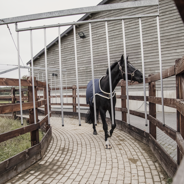 Ideaal om de paarden mee te longeren of in de stapmolen te zetten wanneer het koud is. Ideaal om de paarden mee te longeren of in de stapmolen te zetten wanneer het koud is.