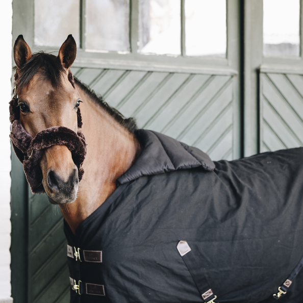 Kentucky Horsewear Horse Bib Borstbeschermer Zomer Kentucky Horsewear Horse Bib Borstbeschermer Zomer