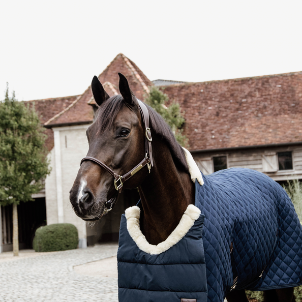 Kentucky Horsewear Horse Bib Winter Kentucky Horsewear Horse Bib Winter