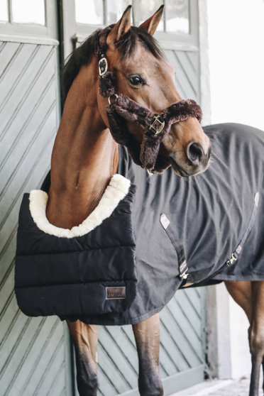 Kentucky Horsewear Horse Bib Winter Kentucky Horsewear Horse Bib Winter