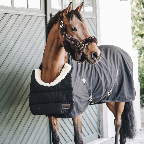 Kentucky Horsewear Horse Bib Winter Kentucky Horsewear Horse Bib Winter