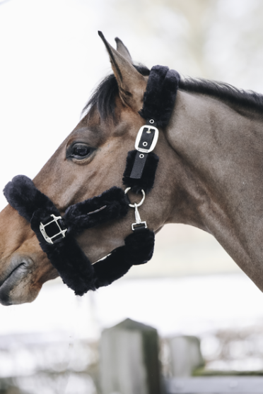 Kentucky Horsewear Sheepskin Shipping Halter Kentucky Horsewear Sheepskin Shipping Halter