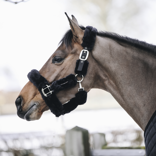 Kentucky Horsewear Sheepskin Shipping Halter Kentucky Horsewear Sheepskin Shipping Halter