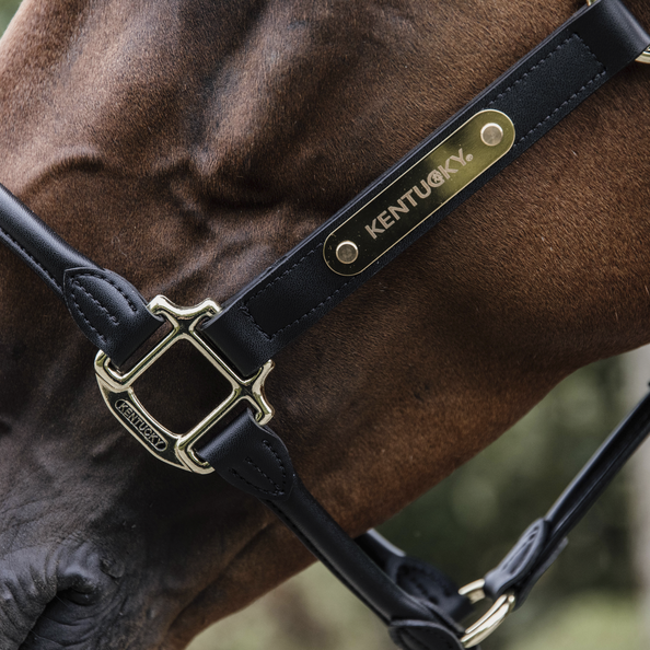 Kentucky Horsewear Anatomic Leather Halter Kentucky Horsewear Anatomic Leather Halter