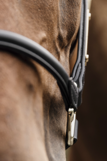 Kentucky Horsewear Anatomic Leather Halter Kentucky Horsewear Anatomic Leather Halter