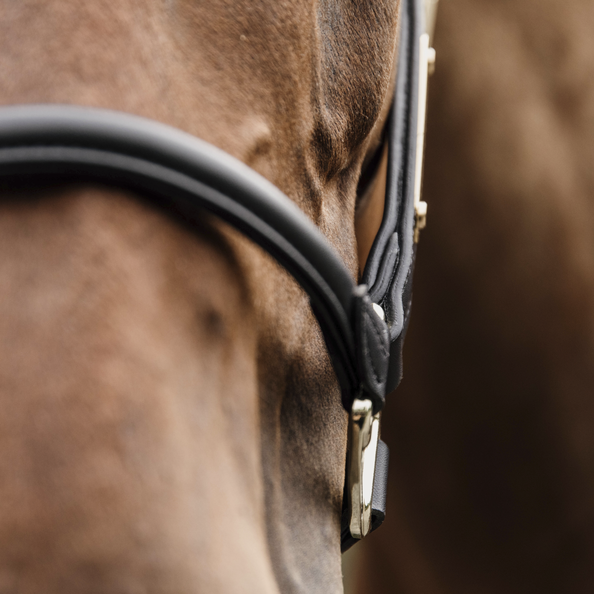 Kentucky Horsewear Anatomic Leather Halter Kentucky Horsewear Anatomic Leather Halter