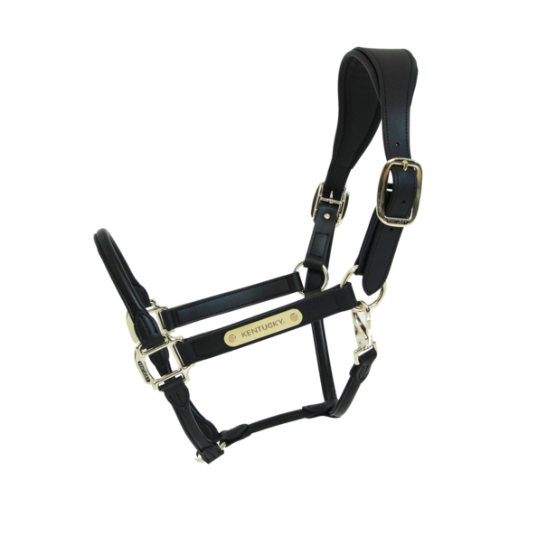 Kentucky Horsewear Anatomic Leather Halter Kentucky Horsewear Anatomic Leather Halter