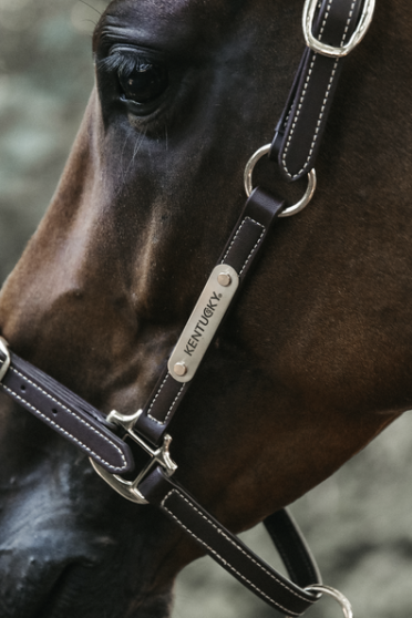 Practical artificial Leather Halter that can be detached and used in different ways. Practical artificial Leather Halter that can be detached and used in different ways.