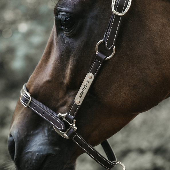 Practical artificial Leather Halter that can be detached and used in different ways. Practical artificial Leather Halter that can be detached and used in different ways.