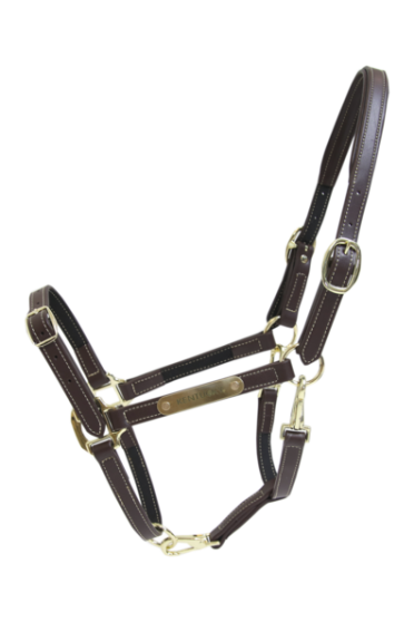 Practical artificial Leather Halter that can be detached and used in different ways. Practical artificial Leather Halter that can be detached and used in different ways.