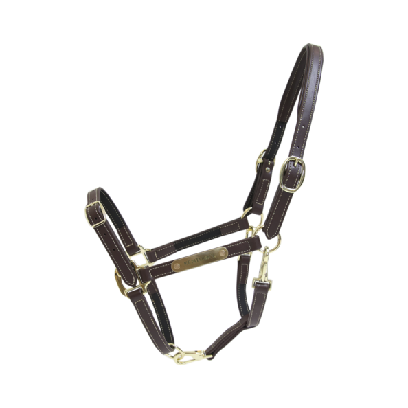 Practical artificial Leather Halter that can be detached and used in different ways. Practical artificial Leather Halter that can be detached and used in different ways.