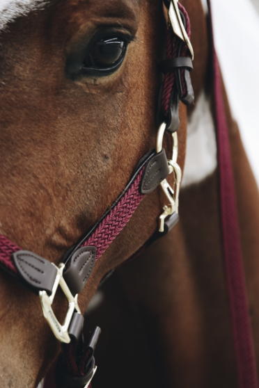 Kentucky Horsewear Nylon Gevlochten Halster leverbaar in 8 kleuren. Kentucky Horsewear Nylon Gevlochten Halster leverbaar in 8 kleuren.
