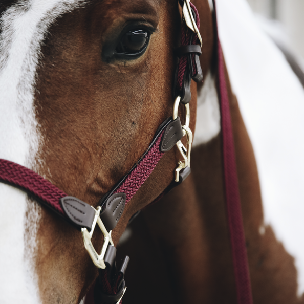 Kentucky Horsewear Nylon Gevlochten Halster leverbaar in 8 kleuren. Kentucky Horsewear Nylon Gevlochten Halster leverbaar in 8 kleuren.