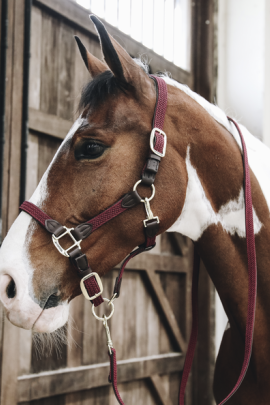 Kentucky Horsewear Nylon Gevlochten Halster leverbaar in 8 kleuren. Kentucky Horsewear Nylon Gevlochten Halster leverbaar in 8 kleuren.