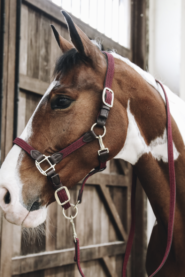 Kentucky Horsewear Nylon Gevlochten Halster leverbaar in 8 kleuren. Kentucky Horsewear Nylon Gevlochten Halster leverbaar in 8 kleuren.
