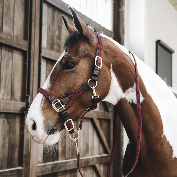 Kentucky Horsewear Nylon Gevlochten Halster leverbaar in 8 kleuren. Kentucky Horsewear Nylon Gevlochten Halster leverbaar in 8 kleuren.