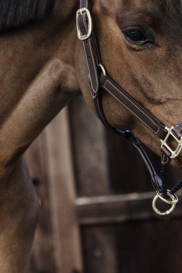 De Leather Rope Halter heeft een dik bruin touw om de neusriem te vervangen De Leather Rope Halter heeft een dik bruin touw om de neusriem te vervangen