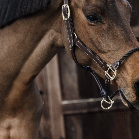 De Leather Rope Halter heeft een dik bruin touw om de neusriem te vervangen De Leather Rope Halter heeft een dik bruin touw om de neusriem te vervangen