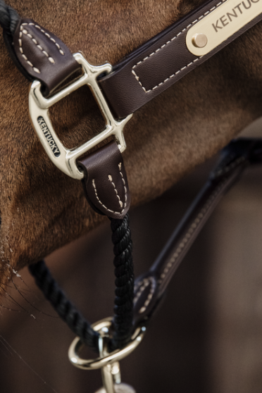 De Leather Rope Halter heeft een dik bruin touw om de neusriem te vervangen De Leather Rope Halter heeft een dik bruin touw om de neusriem te vervangen