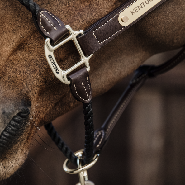 De Leather Rope Halter heeft een dik bruin touw om de neusriem te vervangen De Leather Rope Halter heeft een dik bruin touw om de neusriem te vervangen