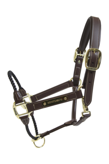 De Leather Rope Halter heeft een dik bruin touw om de neusriem te vervangen De Leather Rope Halter heeft een dik bruin touw om de neusriem te vervangen