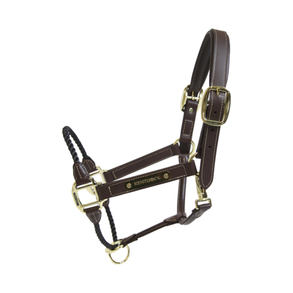 De Leather Rope Halter heeft een dik bruin touw om de neusriem te vervangen De Leather Rope Halter heeft een dik bruin touw om de neusriem te vervangen