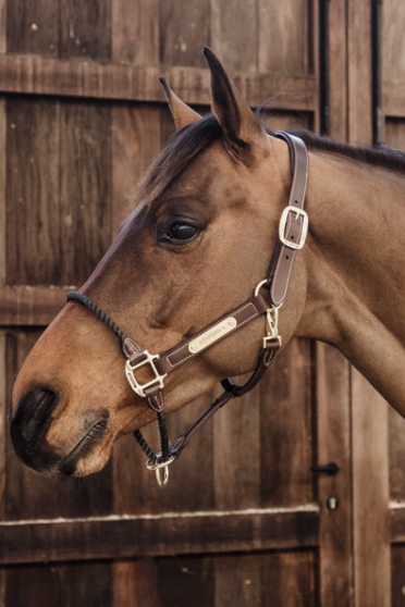 De Leather Rope Halter heeft een dik bruin touw om de neusriem te vervangen De Leather Rope Halter heeft een dik bruin touw om de neusriem te vervangen