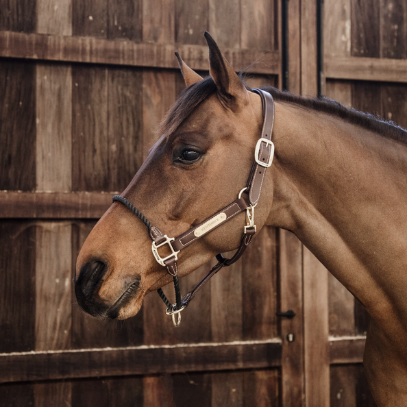 De Leather Rope Halter heeft een dik bruin touw om de neusriem te vervangen De Leather Rope Halter heeft een dik bruin touw om de neusriem te vervangen