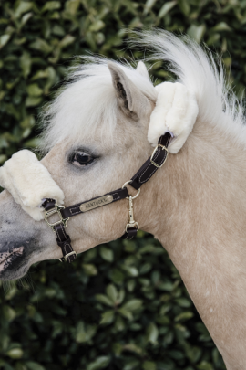 Leather Halter Sheepskin will make all the pony lovers happy! Leather Halter Sheepskin will make all the pony lovers happy!