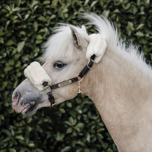 Leather Halter Sheepskin is gemaakt van duurzaam en artificieel leer. Leather Halter Sheepskin is gemaakt van duurzaam en artificieel leer.