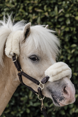 Leather Halter Sheepskin is gemaakt van duurzaam en artificieel leer. Leather Halter Sheepskin is gemaakt van duurzaam en artificieel leer.