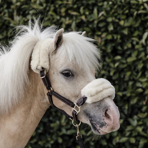 Leather Halter Sheepskin is gemaakt van duurzaam en artificieel leer. Leather Halter Sheepskin is gemaakt van duurzaam en artificieel leer.