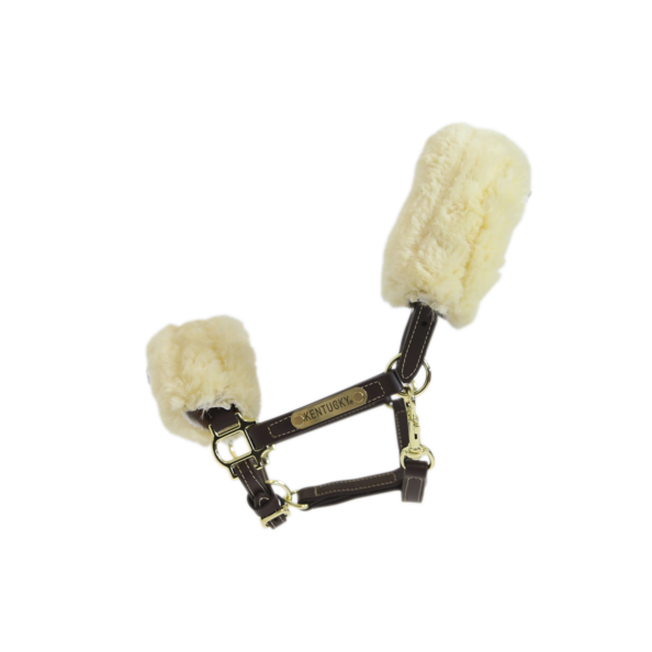 Leather Halter Sheepskin will make all the pony lovers happy! Leather Halter Sheepskin will make all the pony lovers happy!