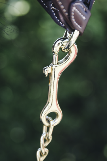 60cm long and gold colored to match the Stallion Lead and all of our halters. 60cm long and gold colored to match the Stallion Lead and all of our halters.