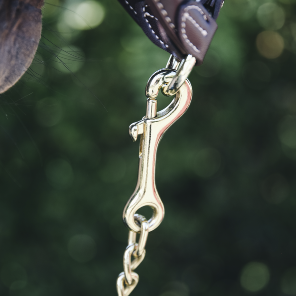 60cm long and gold colored to match the Stallion Lead and all of our halters. 60cm long and gold colored to match the Stallion Lead and all of our halters.