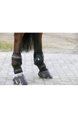 Kentucky pastern Wrap Kentucky pastern Wrap