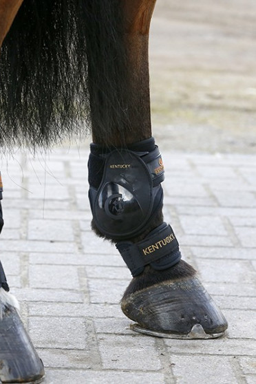 Kentucky pastern Wrap Kentucky pastern Wrap