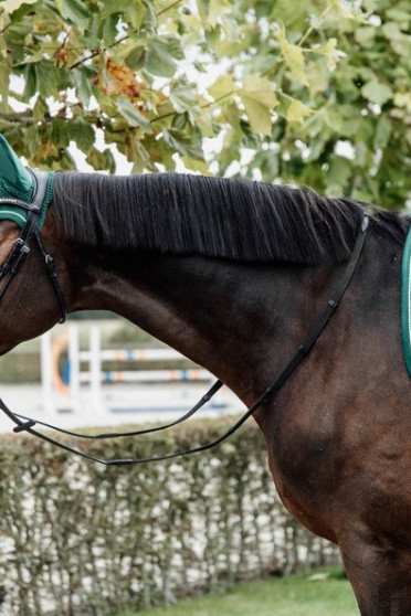 Sjabrak Velvet Dressage met dubbel gedraaide bies is zeer stijlvol en elegant Sjabrak Velvet Dressage met dubbel gedraaide bies is zeer stijlvol en elegant