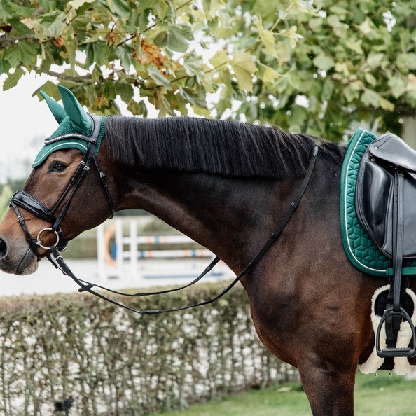 Sjabrak Velvet Dressage met dubbel gedraaide bies is zeer stijlvol en elegant Sjabrak Velvet Dressage met dubbel gedraaide bies is zeer stijlvol en elegant