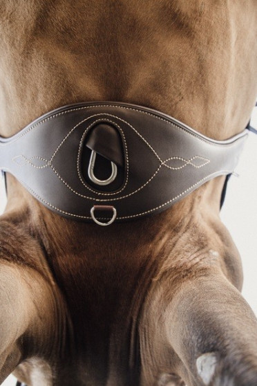 Kentucky Anatomic Girth